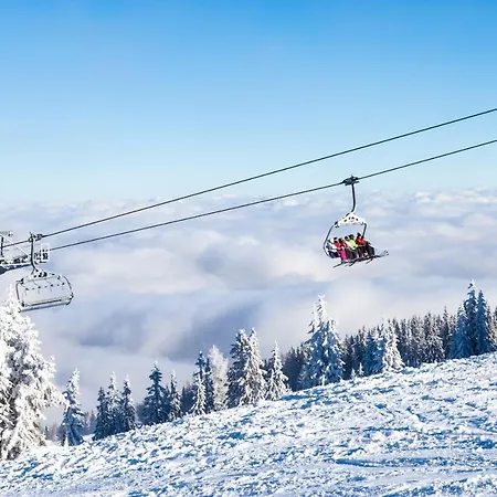 Berghof Holiday home *